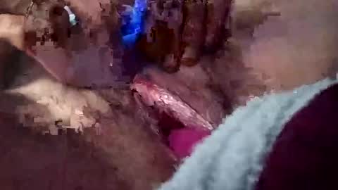 40hartun online show from April 30, 11:04 am