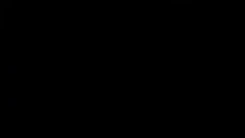 SHANNON online show from January 4, 4:32 pm