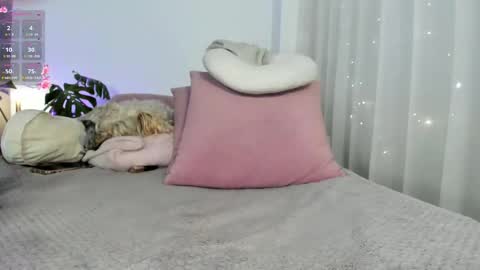 Anaela online show from February 26, 11:26 pm