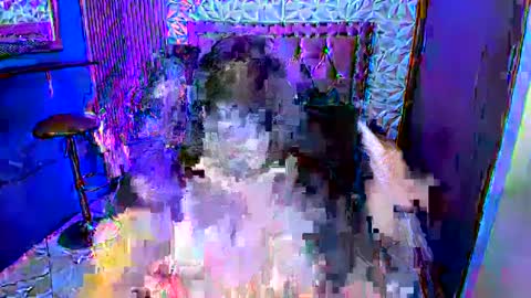 SOFIA online show from October 8, 3:16 pm