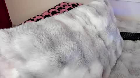 sophiagarcia - big tits- bigass online show from February 27, 11:48 pm