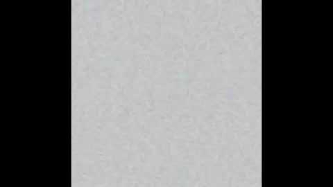 _tammarra_ online show from October 11, 5:04 pm