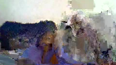 afrii_kity online show from April 5, 5:50 am