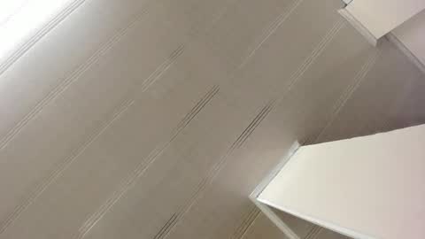 Maeve  online show from January 7, 10:55 am