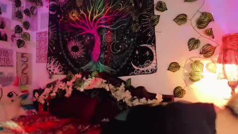 Alex online show from February 18, 2:49 am