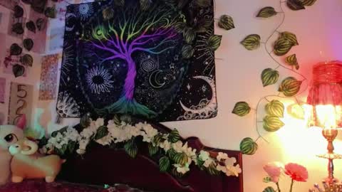 Alex online show from January 31, 3:09 am