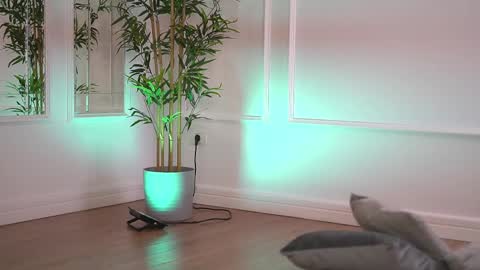 alexxiskye online show from December 21, 7:56 am