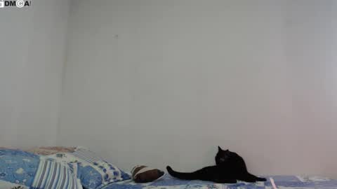  Ali  online show from January 7, 3:26 pm