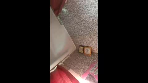 Alison online show from April 7, 4:58 am