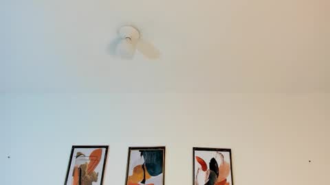 amberqueenx1 online show from February 16, 12:05 pm