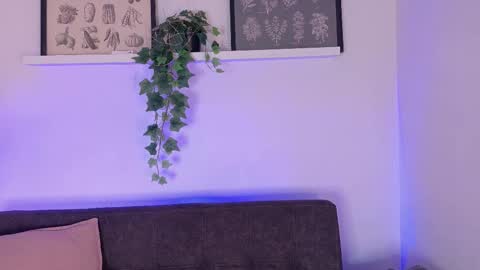  AMMY  online show from February 20, 11:56 am