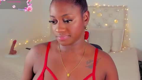 A N A  my connection hours are from 600 pm to 12 pm Colombian time online show from December 14, 3:17 am