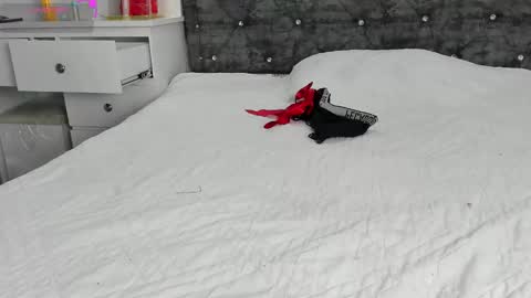  ANASTASIA DANGER  online show from January 1, 4:18 pm