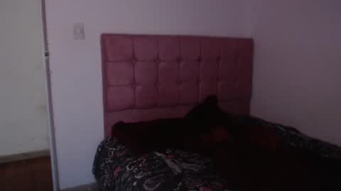 ANA online show from December 11, 3:56 am