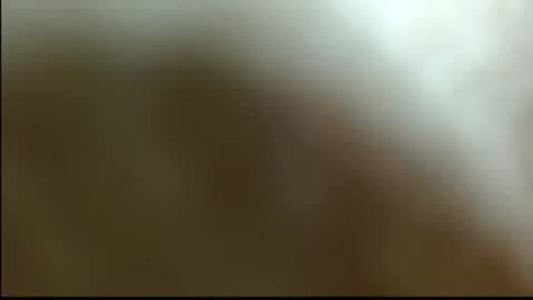 Ana online show from January 24, 6:04 pm