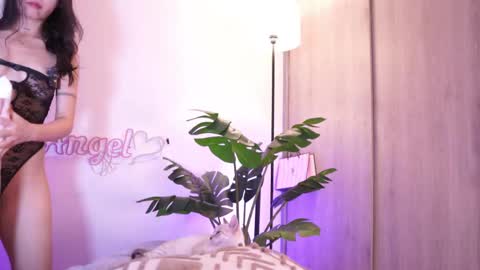 Angel online show from September 24, 4:00 am