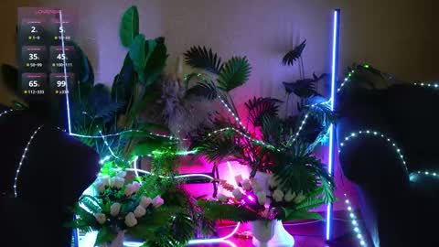 Anita online show from February 12, 4:58 am