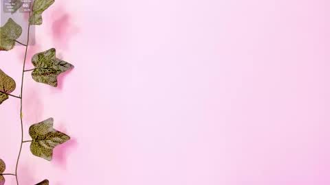 Anne online show from February 2, 9:23 pm