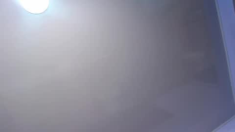 antonella and sasha online show from November 13, 8:41 pm