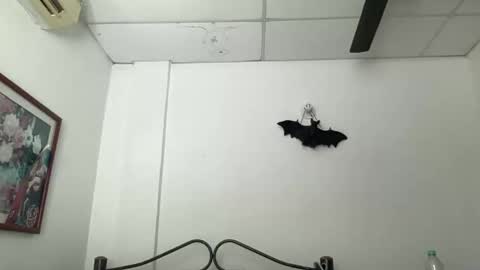 Antonia online show from December 5, 3:28 pm