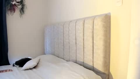   Independent model  online show from February 20, 6:46 pm