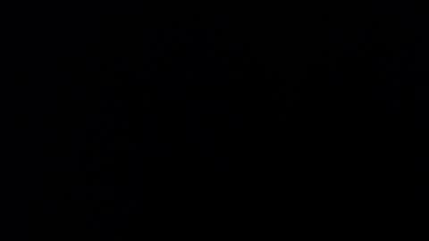 ARIANNA  online show from January 31, 7:34 pm