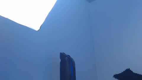 Ariana online show from March 30, 1:00 pm