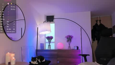 DaniAri - dimension X at night NY time online show from December 1, 12:19 pm