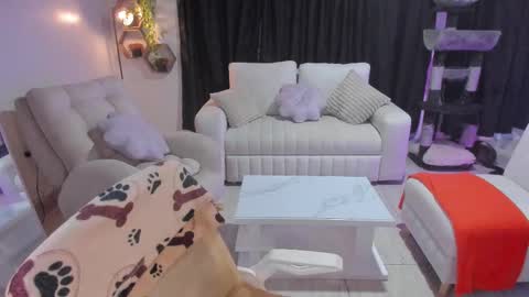 FENIX online show from November 24, 4:36 am