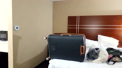 Ashelynn Grey online show from May 7, 2:16 am