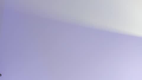 Ashley online show from September 30, 3:34 am