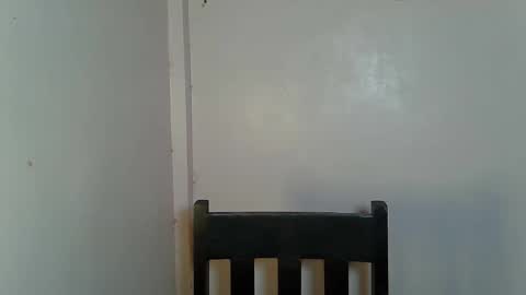 asian_shangxxx online show from February 25, 10:30 pm