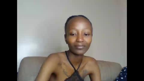 Bambi online show from July 7, 8:44 pm
