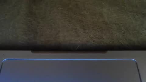 bunni online show from December 9, 8:11 am