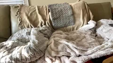 BeachyMILF online show from December 4, 7:14 pm