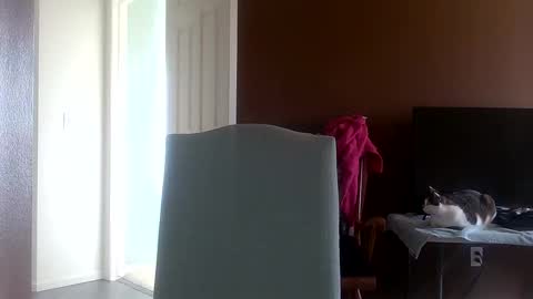 Beverly Bell online show from March 6, 7:10 pm