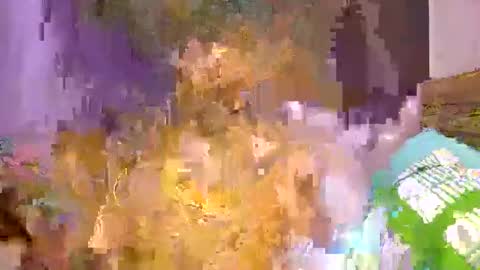 blackfairy01 online show from March 3, 10:29 pm