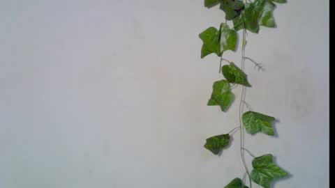 nikky00 online show from March 8, 6:50 am