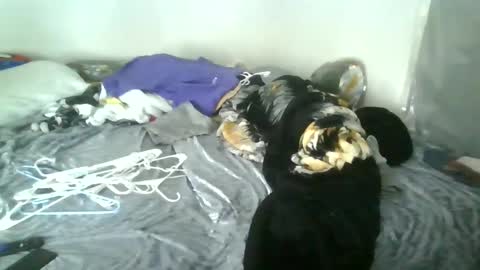 bunniebai online show from December 3, 4:06 pm