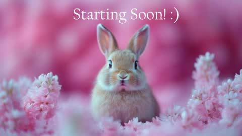 Stella online show from May 21, 11:57 pm