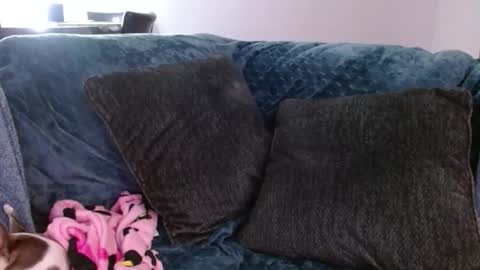 bxdieelatina online show from January 13, 8:57 pm