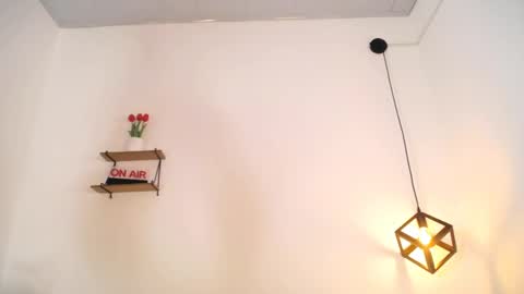 caidi_luz online show from April 29, 12:19 pm