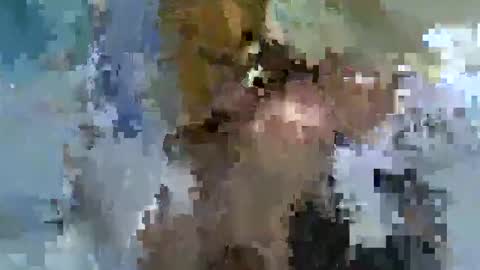 candy kyle online show from September 8, 7:57 pm