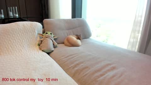 Lina.I will online 2 December   online show from September 14, 10:35 am