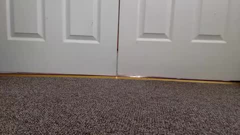 cash13bychanel online show from February 1, 11:06 pm