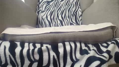 Cassandra joy online show from November 26, 3:24 pm