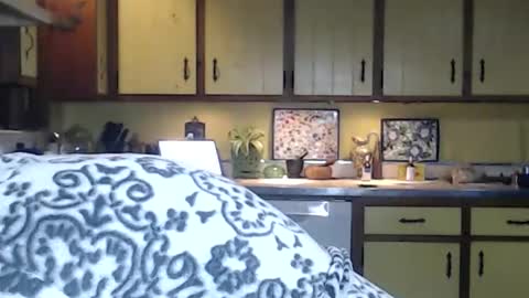 CATALYSTIC online show from November 1, 12:04 am