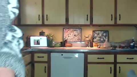 CATALYSTIC online show from September 14, 2:48 pm