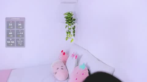      online show from December 28, 2:01 am