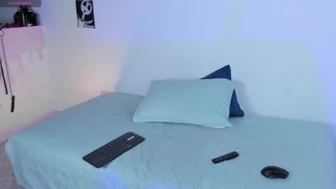 CattNamy online show from November 8, 6:40 am